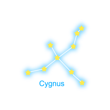 Cygnus